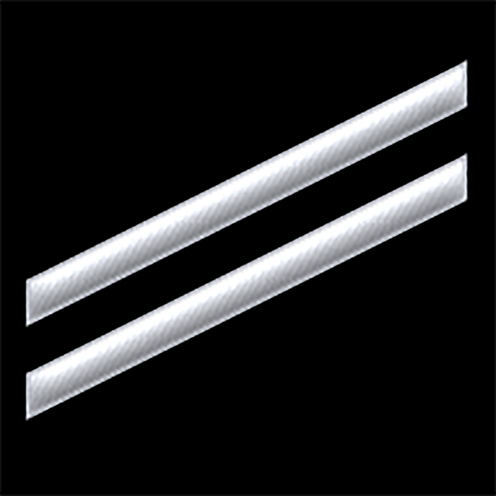 E-2 Seaman Apprentice insignia