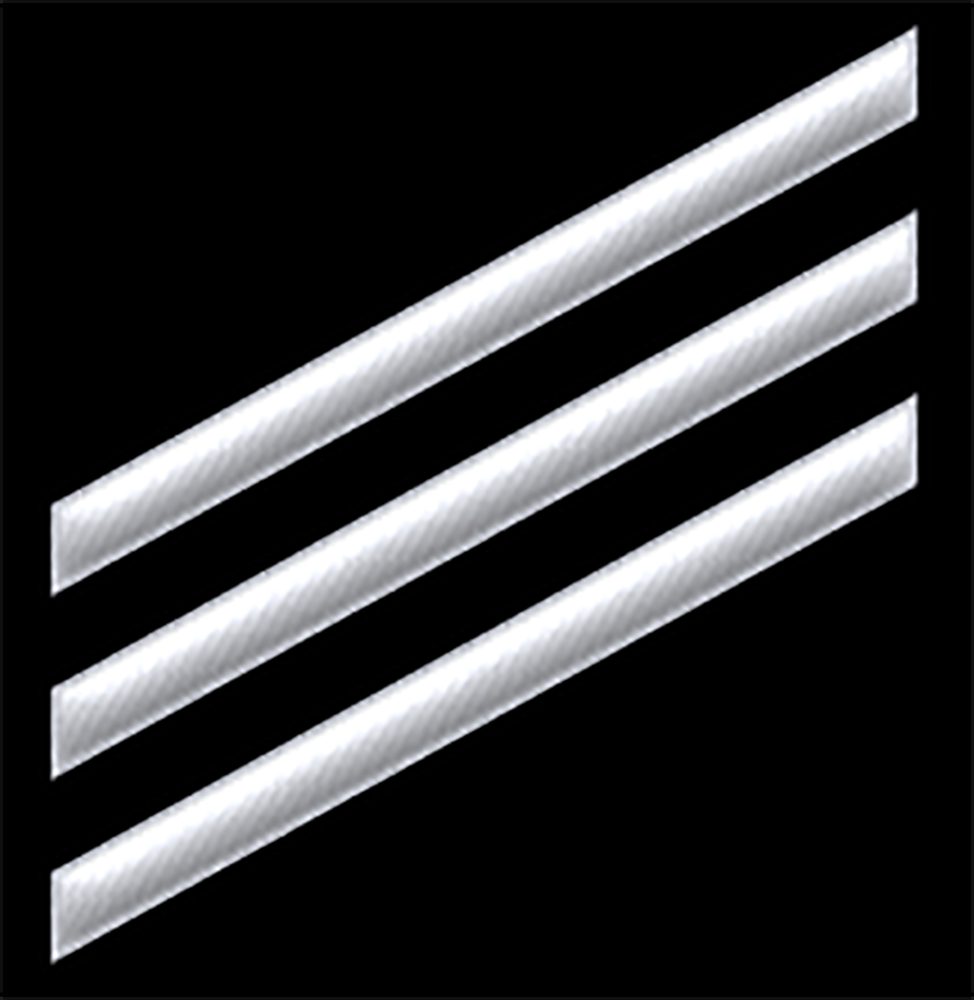 E-3 Seaman insignia