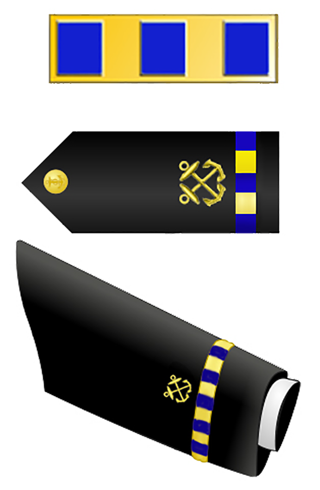W-2 Chief Warrant Officer 2 insignia