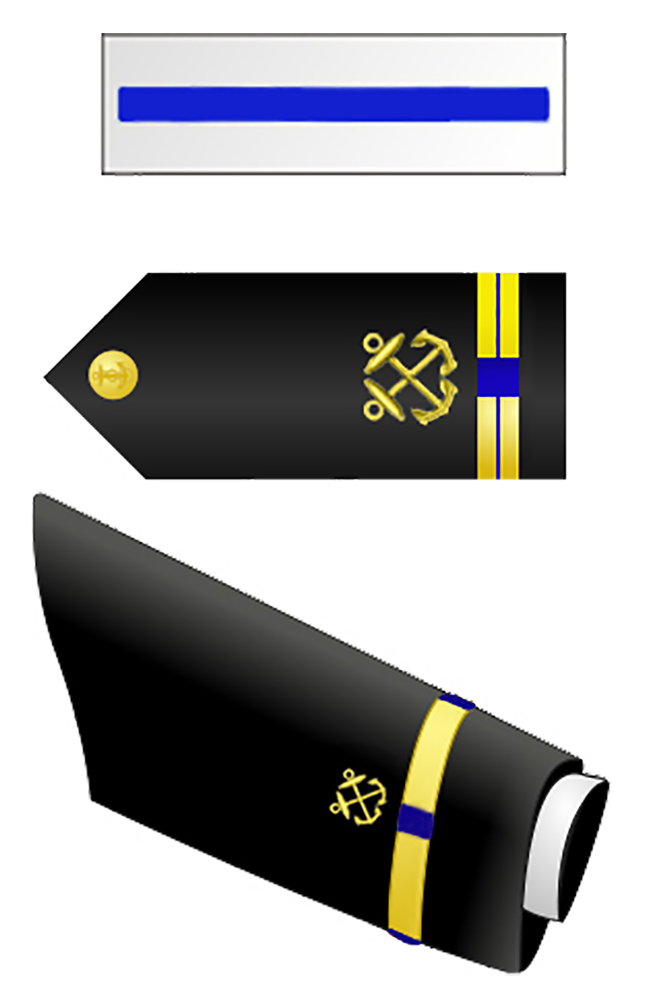 W-5 Chief Warrant Officer 5 insignia