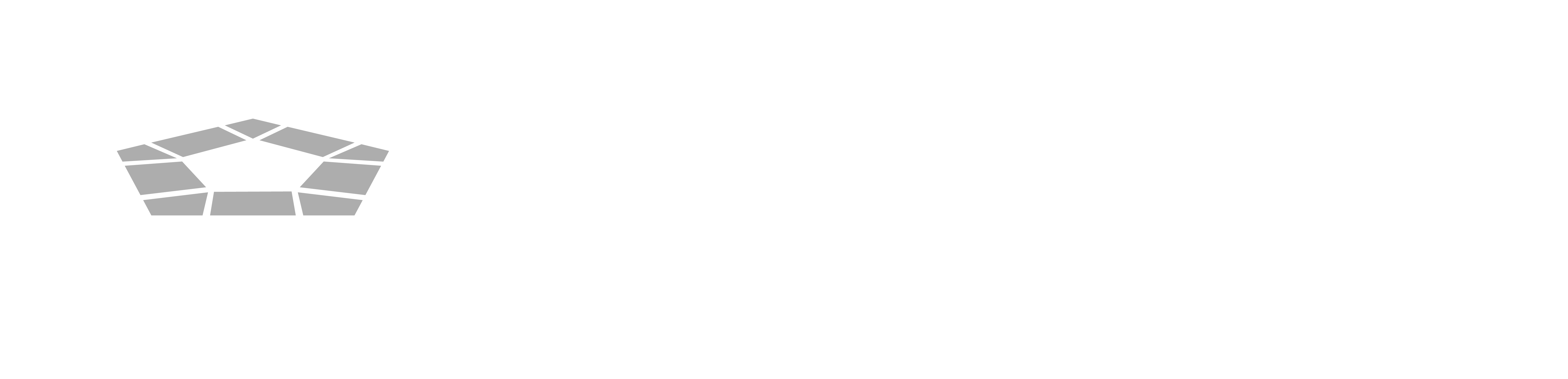 Light Small Use DOW Logo