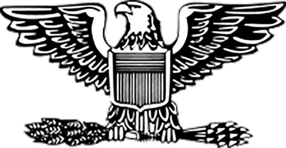 Colonel icon