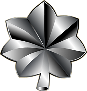 leutenant colonel icon